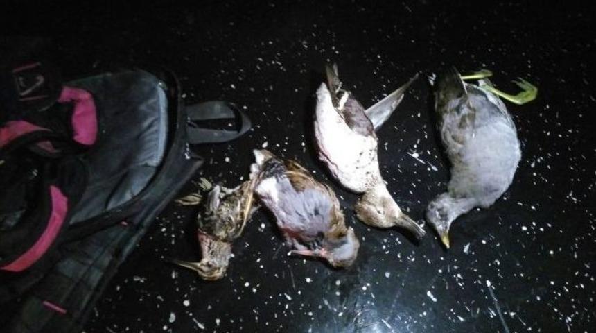 Ka&ccedil;ak Avcılara 6 Bin 576 Tl Ceza