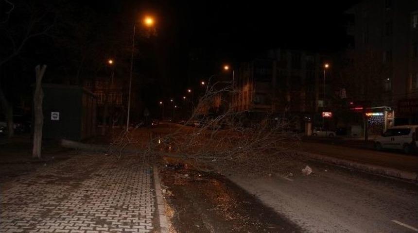 Kayseri&rsquo;de Şiddetli R&uuml;zgar Ağa&ccedil; Devirdi, &Ccedil;atı U&ccedil;urdu