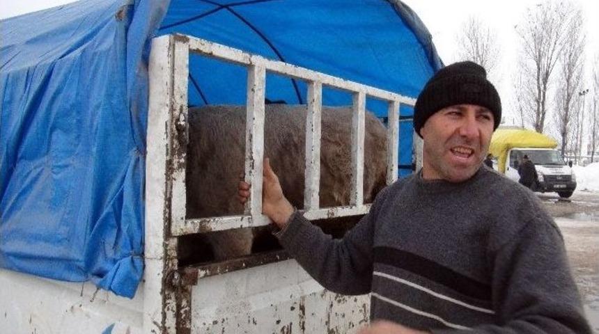 (&ouml;zel Haber) Sanat&ccedil;ının Sahneden Hayvan Pazarına Ekmek Kavgası