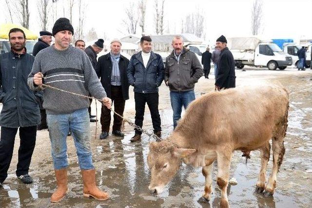 (&ouml;zel Haber) Sanat&ccedil;ının Sahneden Hayvan Pazarına Ekmek Kavgası 2