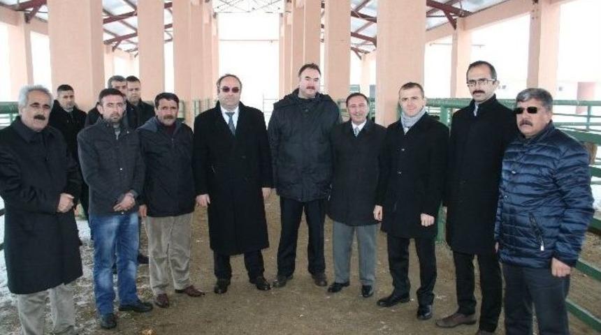 Muş&rsquo;ta Eski H&uuml;k&uuml;ml&uuml;lere S&uuml;t İneği Desteği