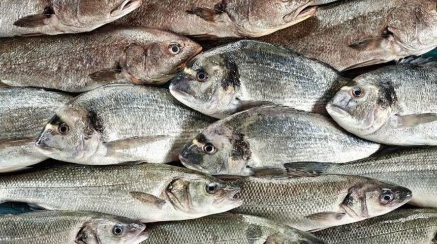 Su &Uuml;r&uuml;nleri İhracatına Parite Freni