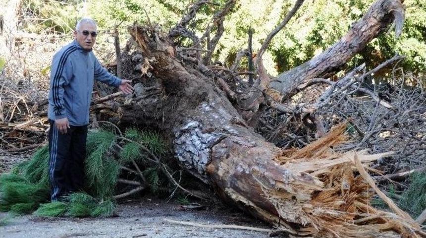 Mersin&rsquo;de Fırtına Hayatı Fel&ccedil; Etti