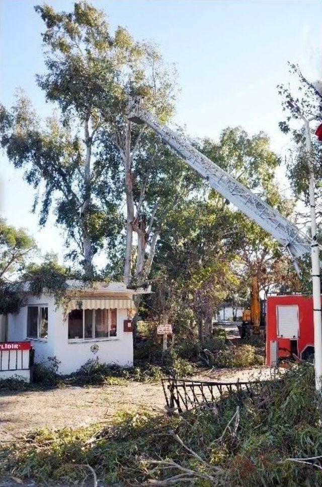 Mersin’de Fırtına Hayatı Felç Etti