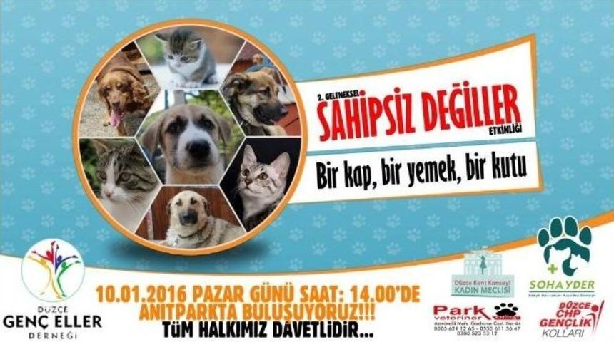 Sokak Hayvanları İ&ccedil;in &ldquo; Sahipsiz Değiller&rdquo; Etkinliği