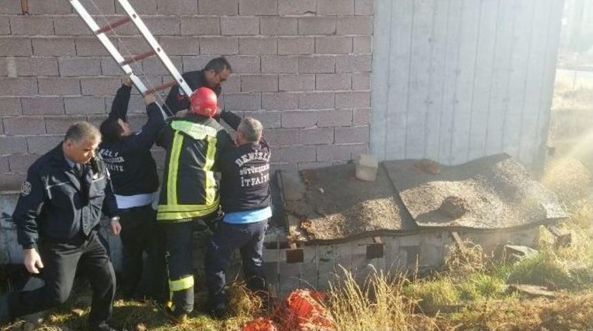 İtfaiyeden K&ouml;pek Kurtarma Operasyonu