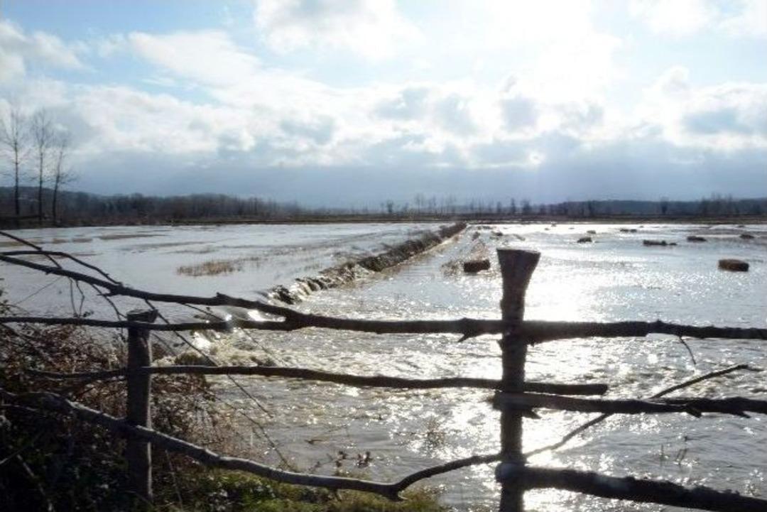 Sinop&rsquo;ta Tarım Arazileri Sular Altında Kaldı
