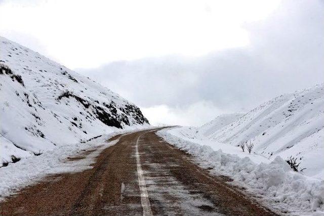 Gaziantep’te 2 Bin 900 Kilometrelik Yolda Karla Mücadele Çalışması Yapıldı