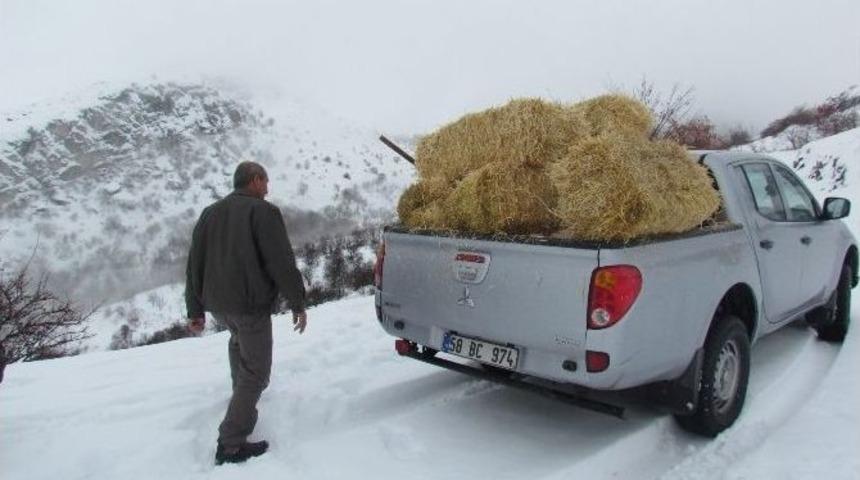 Elazığ&rsquo;da Yaban Hayvanları İ&ccedil;in Saman Ve Yem Bırakıldı