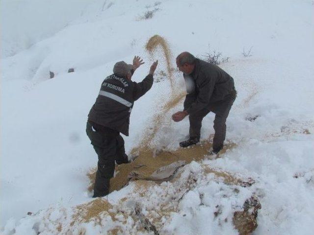 Elazığ’da Yaban Hayvanları İçin Saman Ve Yem Bırakıldı