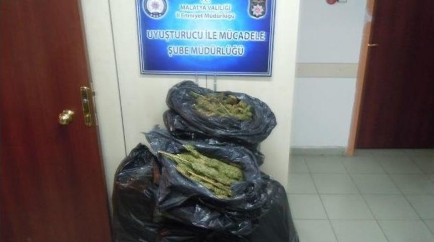 Malatya&rsquo;da 50 Kilo Esrar Ele Ge&ccedil;irildi: 2 Tutuklama