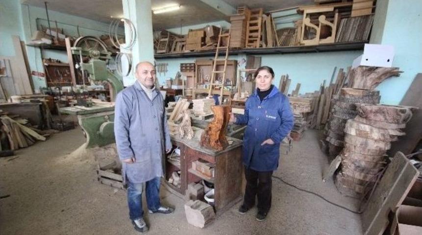 Zeytin Ağacı K&uuml;t&uuml;kleri Ve K&ouml;kleri Sanata D&ouml;n&uuml;ş&uuml;yor