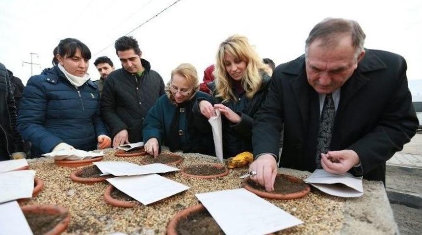 Bolu&rsquo;da Endemik Bitkileri Koruma Altına Alınıyor