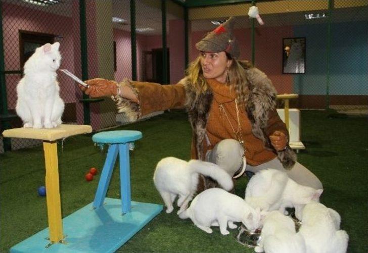 Tuğba Özay ‘umutlu Yarınlar’ Projesi Kapsamında Van’da G5