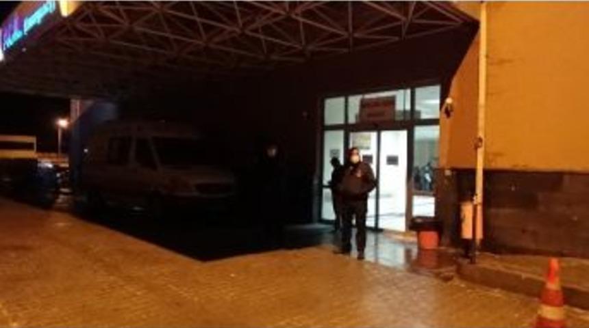 Ergani’de Domuz Gribi Şüphesi