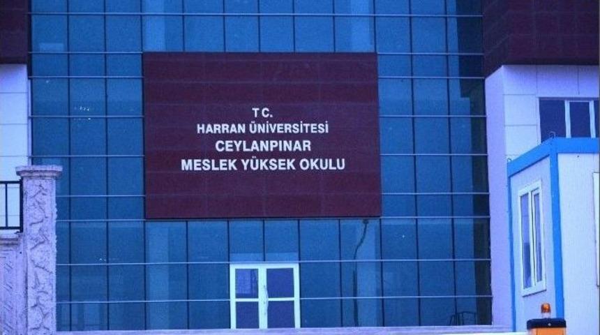Ceylanpınar&rsquo;da Y&uuml;ksek Okul A&ccedil;ılmayı Bekliyor