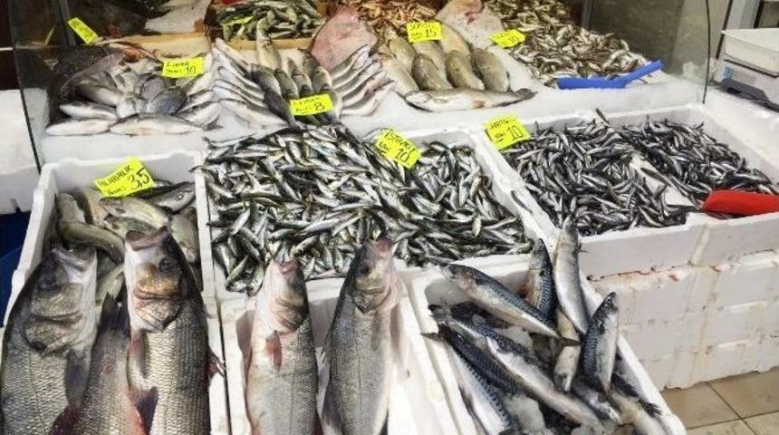 Havalar Isındı Balık Fiyatları D&uuml;ş&uuml;yor
