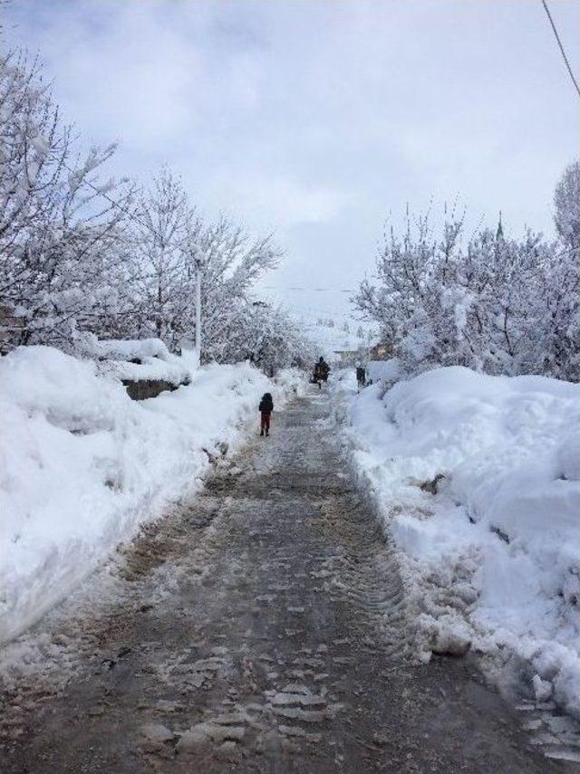 Bitlis’te Beyaz Esaret Devam Ediyor