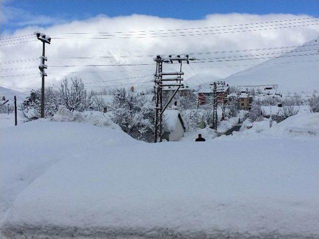 Bitlis’te Beyaz Esaret Devam Ediyor