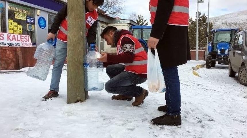 &Ccedil;ıldır Kızılay Sokak Hayvanlarını Unutmadı