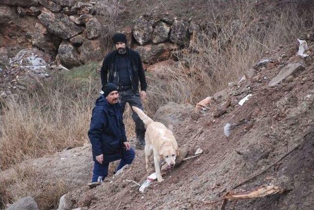 Kayıp İki Çocuğu Arama Çalışmalarına, İki Özel Eğitimli Köpekle Devam Ediliyor