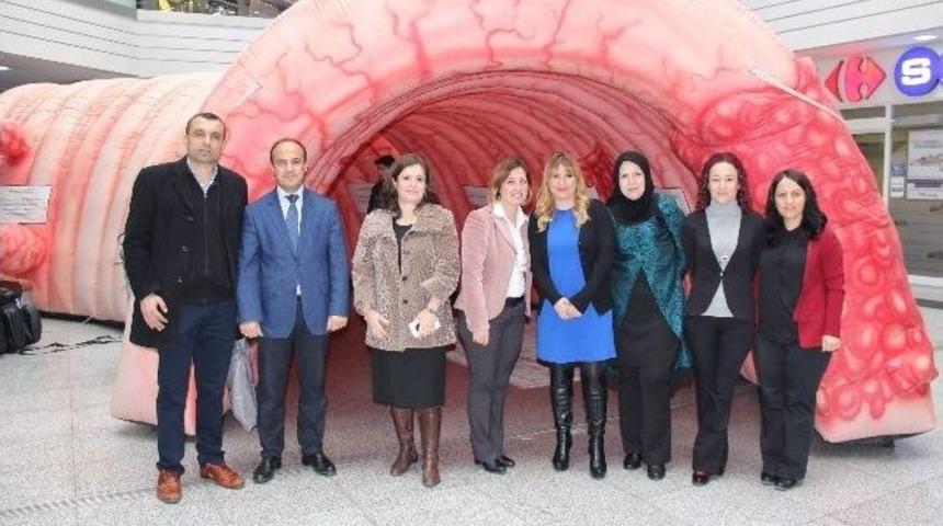 Avm&rsquo;ye Dev Kalın Bağırsak Maketi