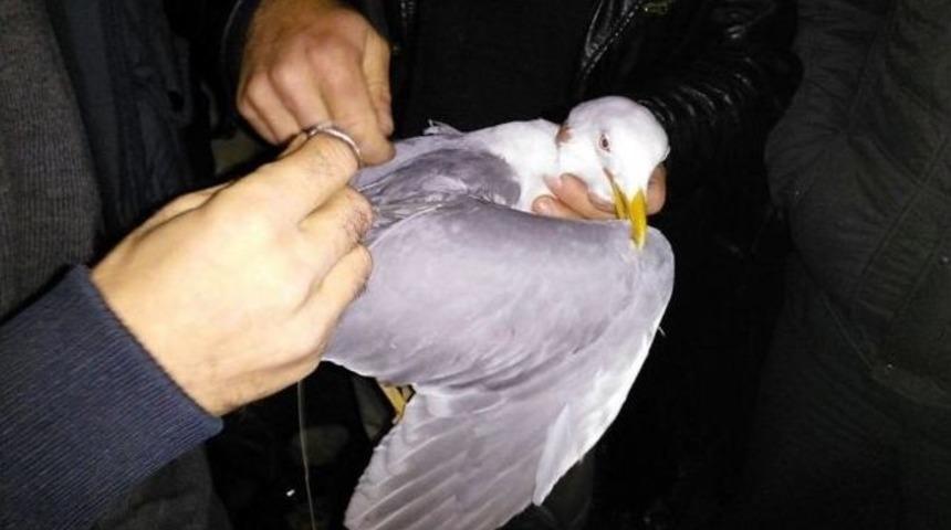 Martının İmdadına İtfaiye Koştu