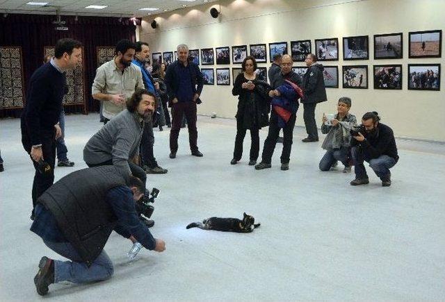 Taksim’de Çalışan Gazetecilerin Fotoğrafları Sergilendi