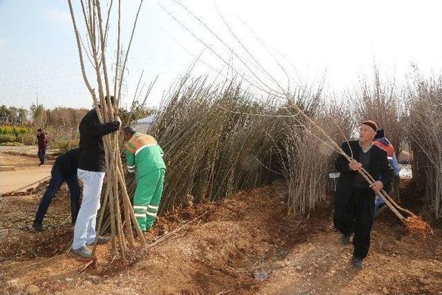 Şahinbey’den Vatandaşlara 100 Bin Fidan