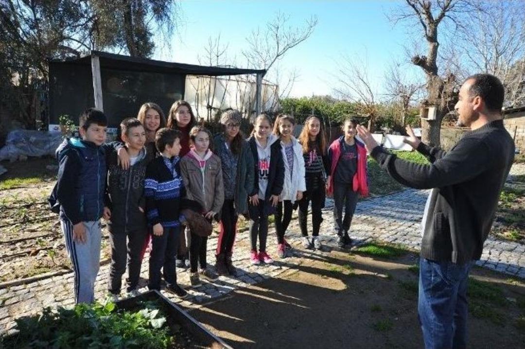 Down Sendromlu &Ccedil;ocuklar Tohum Ekti