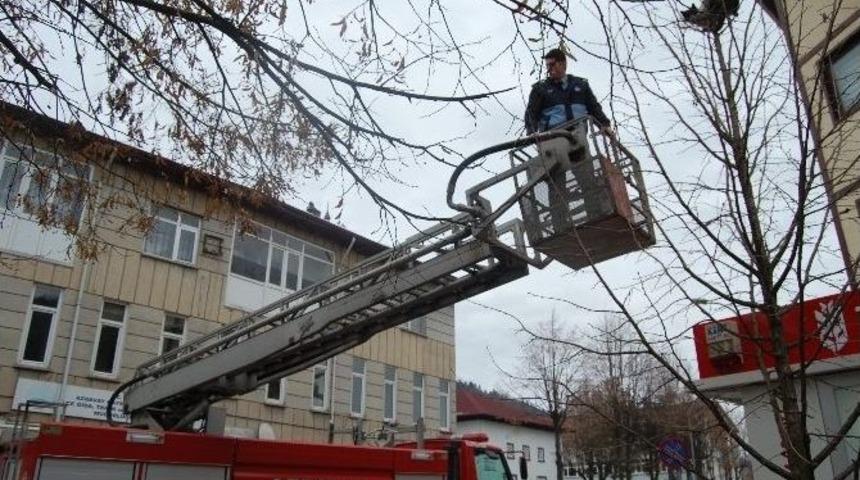Azdavay&rsquo;da İtfaiye&rsquo;nin Kedi Kurtarma Operasyonu