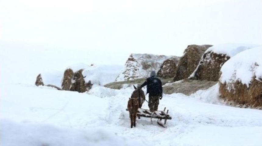 Kar Yağışı Hayvan Besicileri İ&ccedil;in &Ccedil;ile Oldu