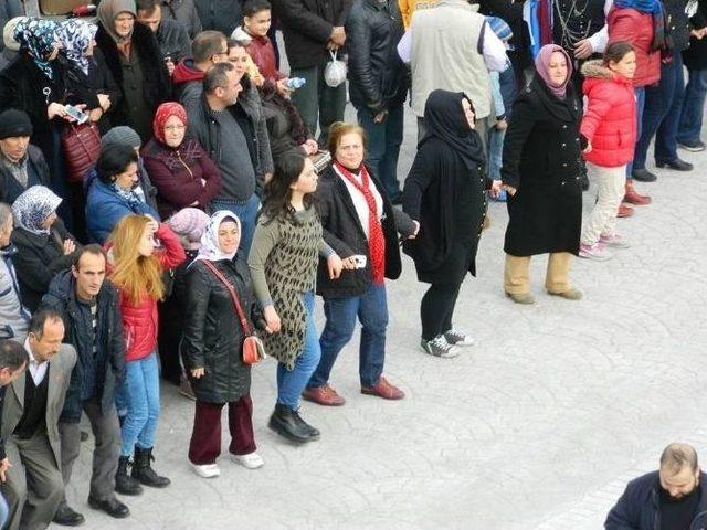 Hamsi Festivali Arifiye Meydanında Gerçekleşti