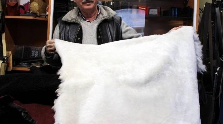 (&ouml;zel Haber) Vatandaşın Yeni G&ouml;zdesi Koyun Postları