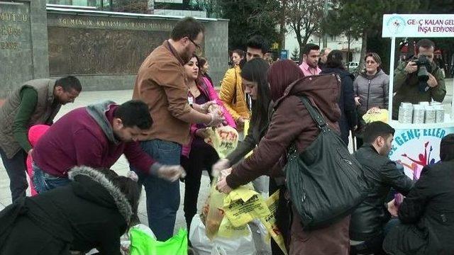 Genç Eller Derneği Üyeleri Sokak Hayvanlarını Unutmadı