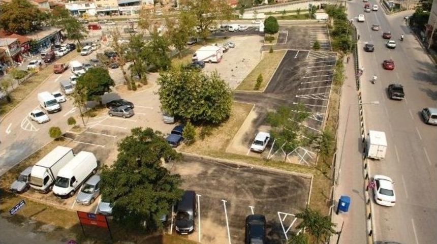 Bursa&rsquo;da &Ccedil;ınar Ağa&ccedil;ları Kesildi...