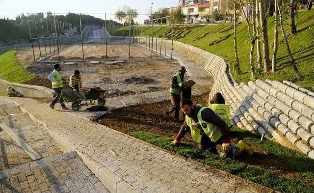 Maltepe Çiçek Açtı