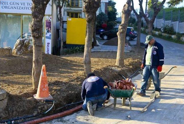 Maltepe Çiçek Açtı