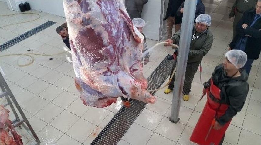 Bilecik&rsquo;te Belediye Mezbahalarının Faaliyetlerine Son Verildi