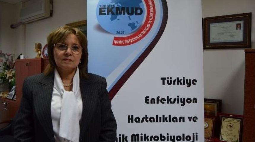 "domuz Gribi İle İlgili Paniğe Gerek Yok"