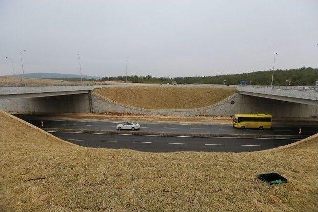 Şehirgösteren Köprülü Kavşak Trafiğe Açıldı