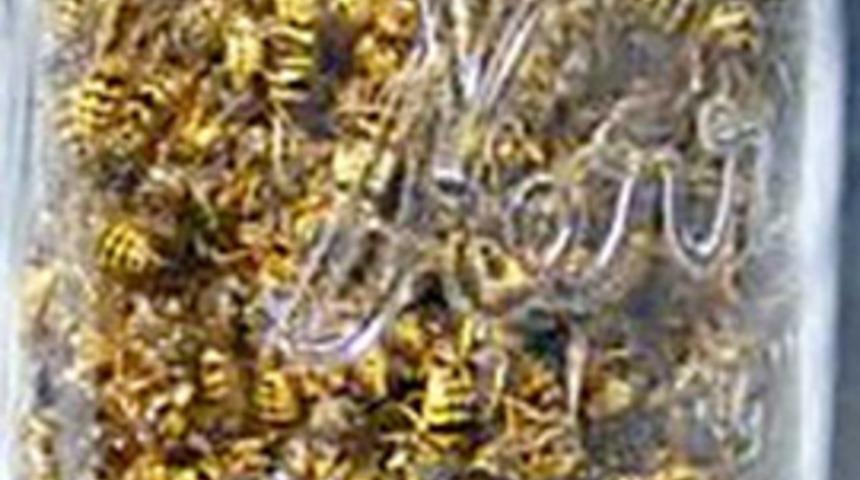 En tuhaf a&ccedil;ık artırma vakaları