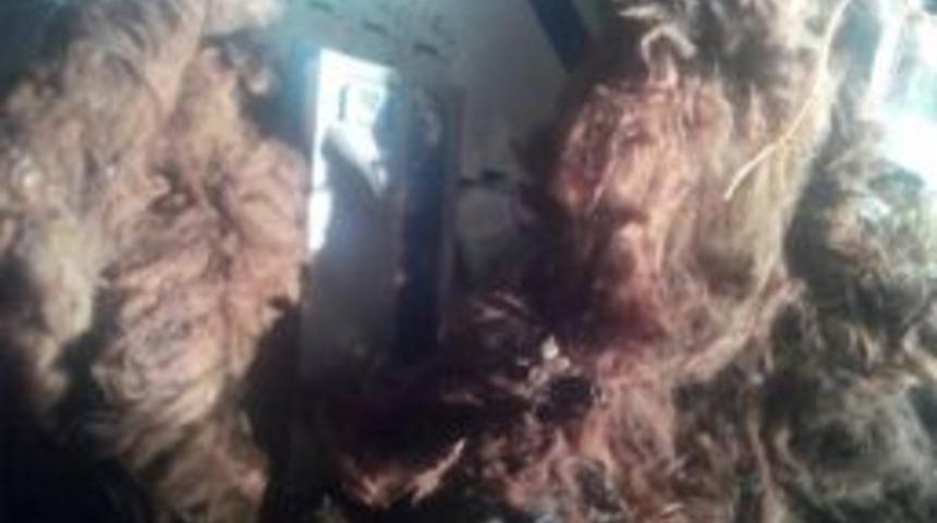 Batman&rsquo;da Ka&ccedil;ak Sigara Operasyonu