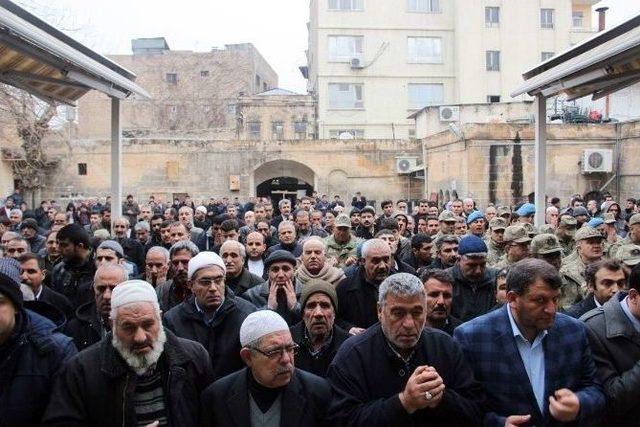 Domuz Gribi Şüphesiyle Tedavi Altındayken Ölen Sivil Memur Toprağa Verildi