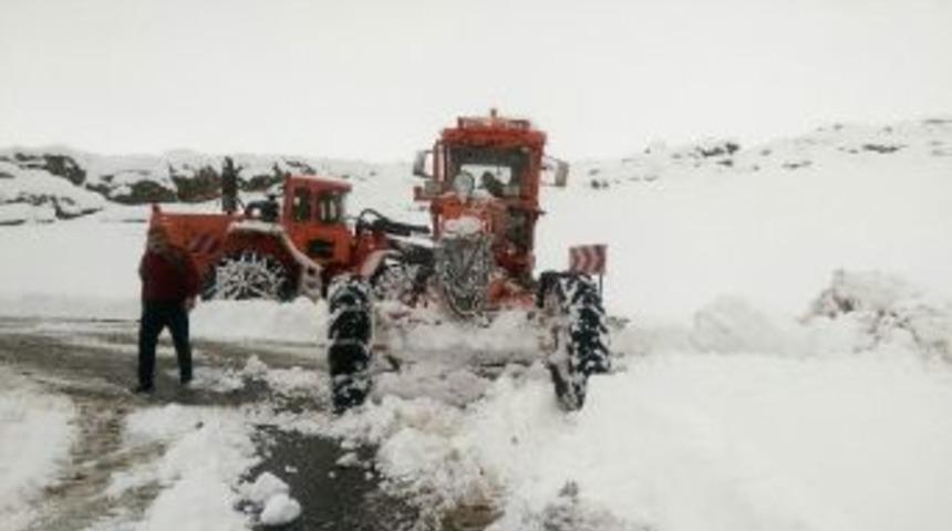 Siirt&rsquo;te Bir K&ouml;y Dışında T&uuml;m Koy Yollarının Ulaşımı A&ccedil;ıldı