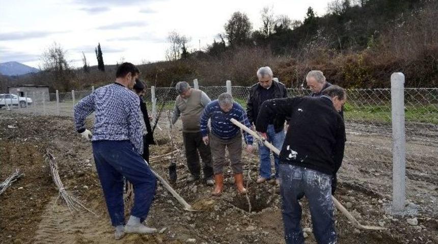 20 D&ouml;n&uuml;ml&uuml;k &Ccedil;&ouml;pl&uuml;k, &Ccedil;ilek Bah&ccedil;esi Olacak