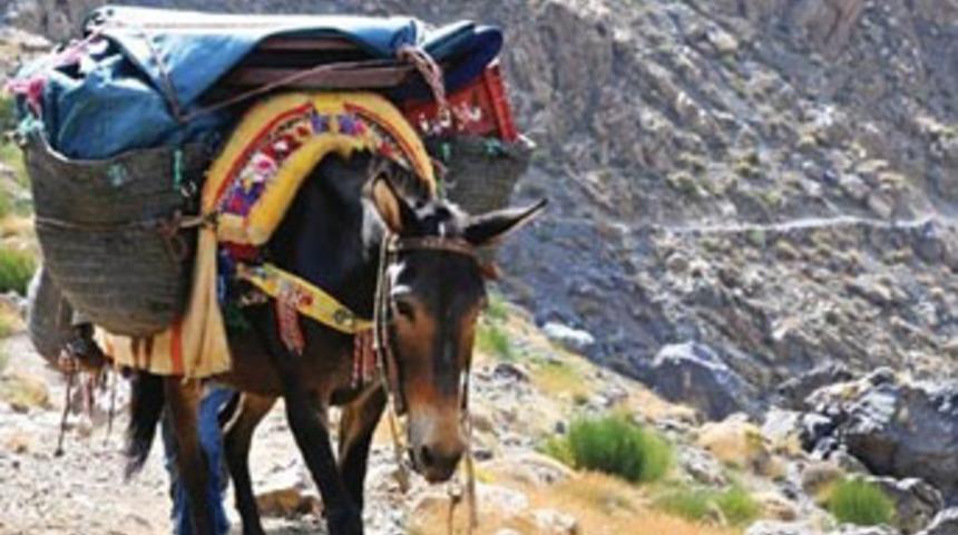 PKK, Başbakan Erdoğan'ı haklı &ccedil;ıkardı