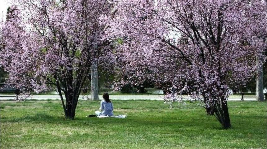 Bursa Dünya Liginde 11 Basamak Yükseldi