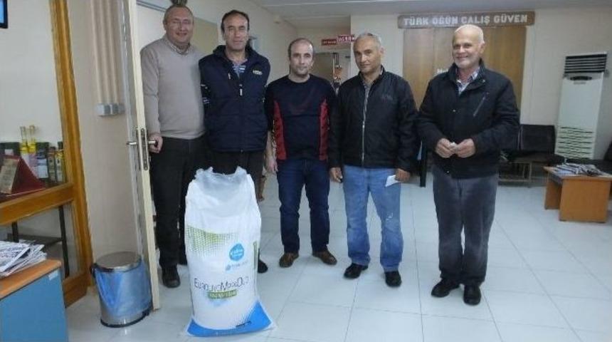 Burhaniye&rsquo;de Zeytinci Akıllı G&uuml;breyi Tuttu