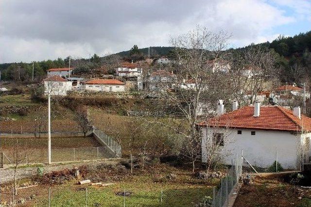Muğla&rsquo;nın Kırsal Potansiyeli Araştırılıyor 2